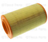68095846aa Chrysler Brand New Genuine Mopar Oem Air Filter