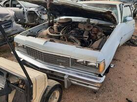 Chevrolet 319.gm1s78 Caprice 1978 Air Cleaner 203943
