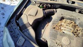 3b0133837at Volkswagen 01-05 Passat Complete Air Intake Filter Box Housing With Tube 2.8l