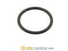 W0133-1644170-rei W0133-1644170 Central Victor Reinz Camshaft Fits Porsche Fbs