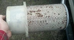 Air Filter Element Part # 40-0000630 Donaldson P10-1246. Fixed Price $39.99.
