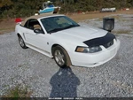 (box Only-no Tubes)air Cleaner 6 Cylinder Fits 02-04 Mustang 1105502. Fixed Price $74.90.