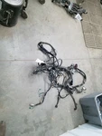 SIERRA150 2008 Engine Wire Harness 308411. Fixed Price $172.50.