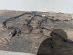 2014 Ford Mustang 3.7L V6 Engine Wiring Harness Automatic BU5T-12C508-BR. Fixed Price $250.00.