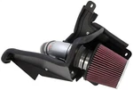 K&n Filters Typhoon Cold Air Intake Kit Silver Fits 2012-2018 Ford Focus 2.0L. Fixed Price $393.48.