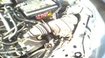 Air Cleaner 2.3L Dohc Fits 03-04 Focus 29394032. Fixed Price $110.70.
