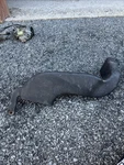 Oem Toyota Tercel 95-99 Inlet Air Cleaner Duct 17751-11100. Fixed Price $49.95.