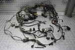 2012 Bmw R1200GS Abs Main Wiring Harness (for Parts). Fixed Price $89.99.