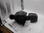 Used Air Cleaner Assembly Fits: 2007 Subaru Legacy 2.5L W/o Turbo Canada Emissio. Fixed Price $77.99.