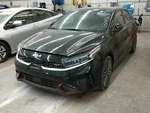 Oem Air Cleaner Forte Assy 1.6L. Fixed Price $109.99.