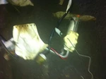 86 87 Ford E150 Fuel Pump Only 6-300 4.9 Liter Frame Mounted. Fixed Price $75.59.