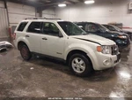 Air Cleaner 3.0L Fits 08 Escape 412586. Fixed Price $87.49.