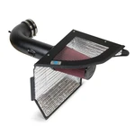 Cold Inductions 501-1099-10-B Intake Airred Filter For Camaro 10-15. Fixed Price $399.99.