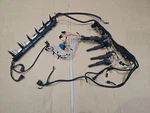 06-07 Bmw E60 530XI 525XI 530I Engine Wiring Harness W/ Fuel Rail & Coil Plugs. Fixed Price $240.99.