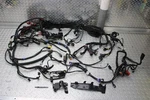 2017 Harley-davidson Street Glide Cvo Liquid Cooled Flhxse Main Wiring Harness. Fixed Price $499.99.