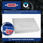 Pollen / Cabin Filter Fits Renault Scenic MK3 2008 On B&b 272778980R Quality New. Fixed Price $11.28.