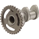Hot 2218-1IN Stage Intake Camshaft. Fixed Price $247.95.