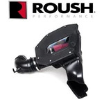 Roush Cold Air Intake System Filter Kit Fits 2018-2021 Ford Mustang 5.0L. Fixed Price $489.95.