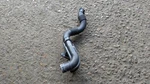 Mini Cooper 2006 R56 Air Intake Box Manifold 2754425-03. Fixed Price $27.25.